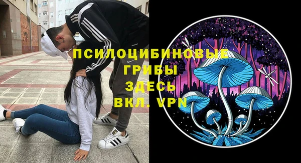 бошки Алзамай