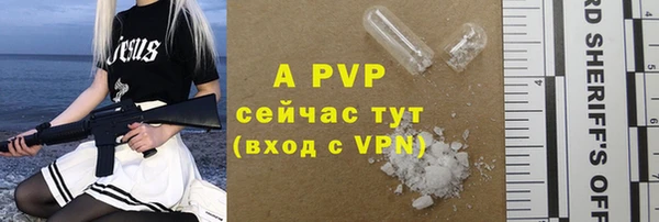 гидра Алексеевка
