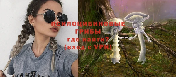 гашик Покачи