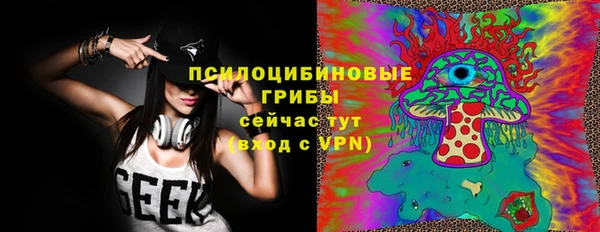 гидра Алексеевка
