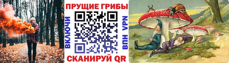 Галлюциногенные грибы GOLDEN TEACHER  Кемь 